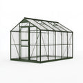 Serre de jardin 250 x 190 x 195 cm en aluminium vert avec panneaux translucides et aération de toit